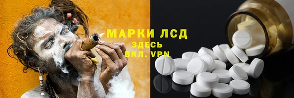 стафф Чегем