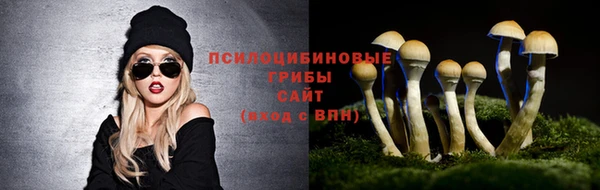ешки Дмитров
