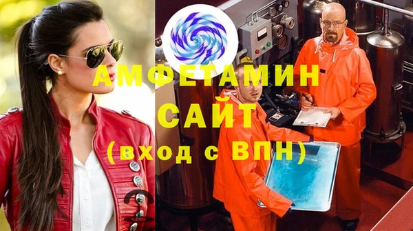 гидра Абаза